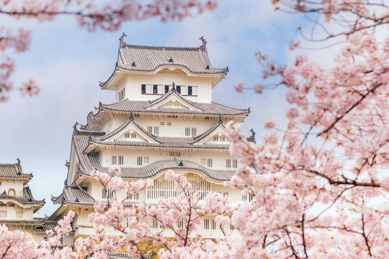 Cherry Blossom Festival in Japan When and Where Go