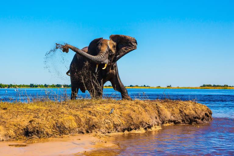 5 Reasons To Visit Botswana During The Green Season