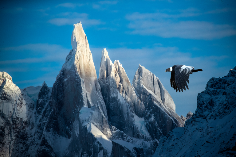 The Wild Poetry Of Patagonia