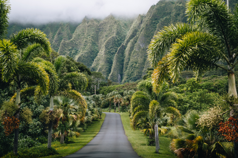 ¿Qué isla hawaiana es adecuada para ti?