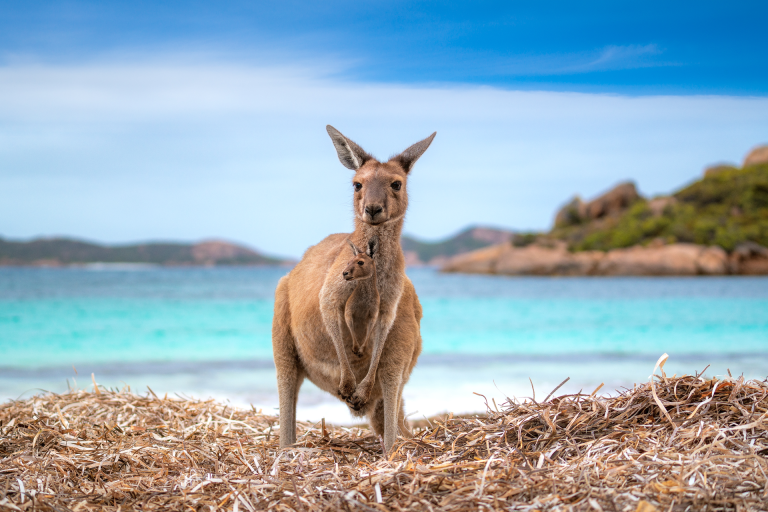 melhores praias da austrália