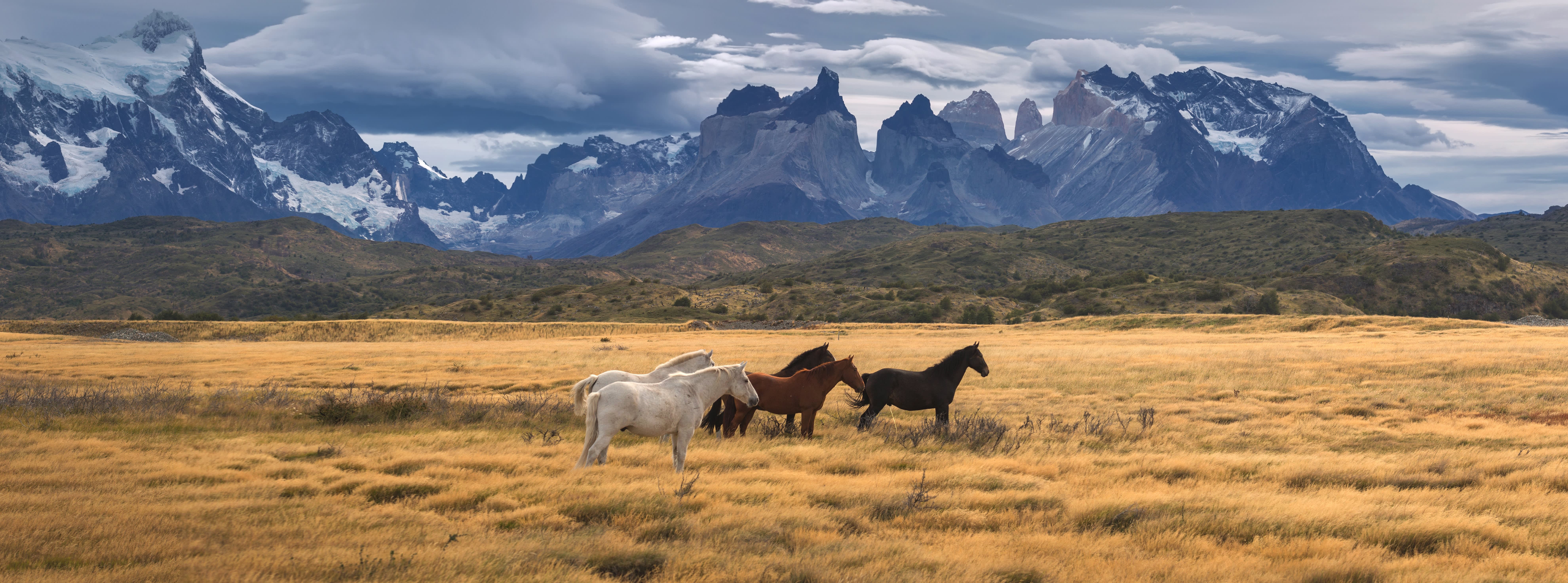 Torres del Paine National Park, Patagonia, Chile Torres del Paine National Park, Patagonia, Chile