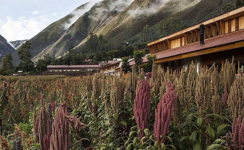 Öko Hotel Valle Sagrado Peru