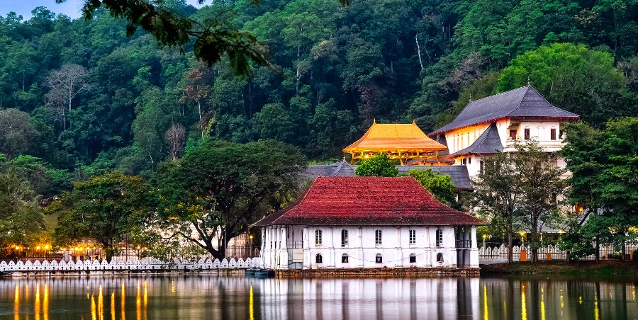 Top Festivals in Asia You Just Cannot Miss