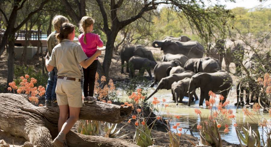 Young Children On Safari: Wild Child in Africa