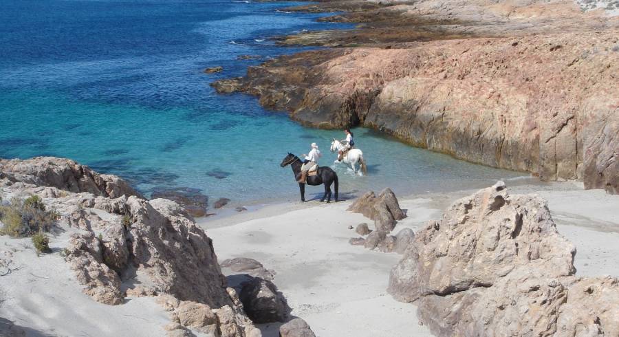 Go Horse Riding In Legendary Patagonia