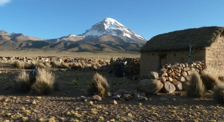 Enchanting Travels Bolivia Tours Sajama