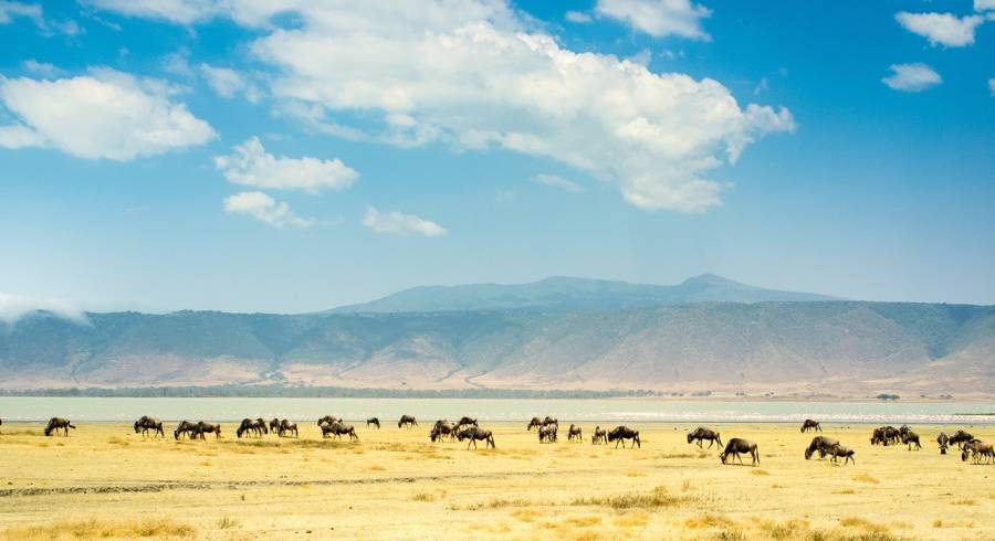 Ngorongoro Crater