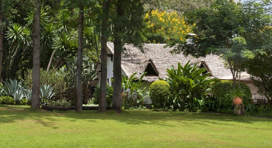 Plantation-Lodge-plantations and vineyards
