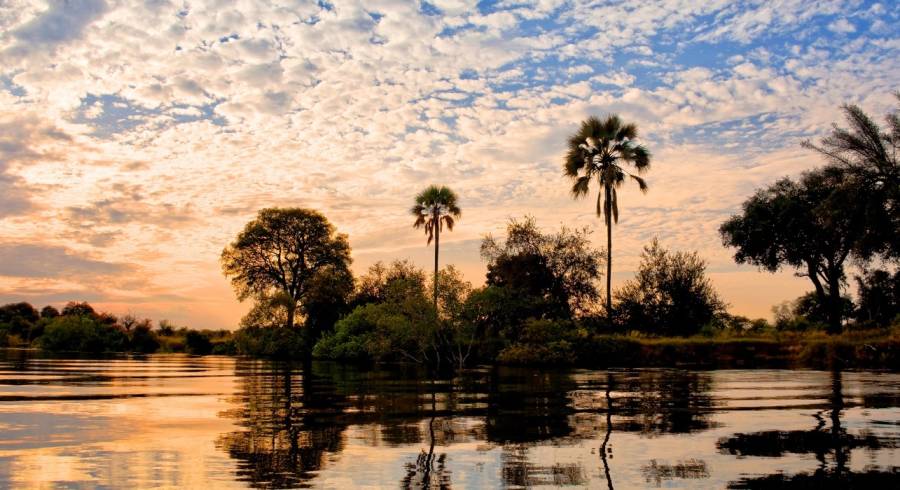 Sonnenuntergang - Palmen in der Lower Zambezi