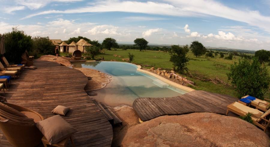 Guest Pool in Sayari