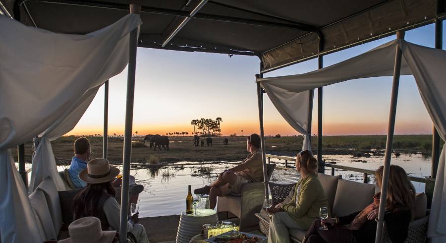 Discover the Best Luxury Safari Camps in Botswana!