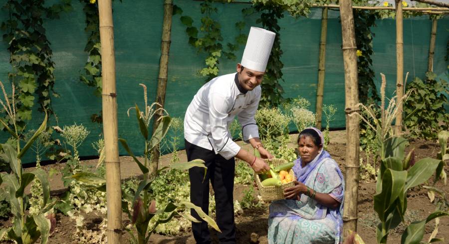 Farm to table - Organic garden