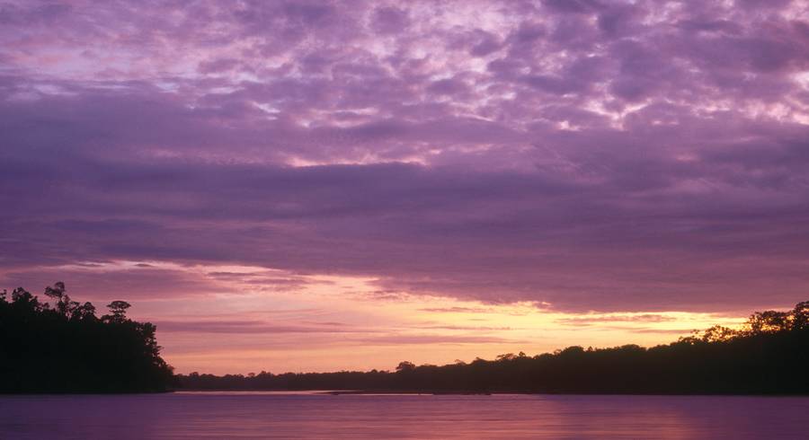 Sonnenuntergang im Amazonas-Regenwald