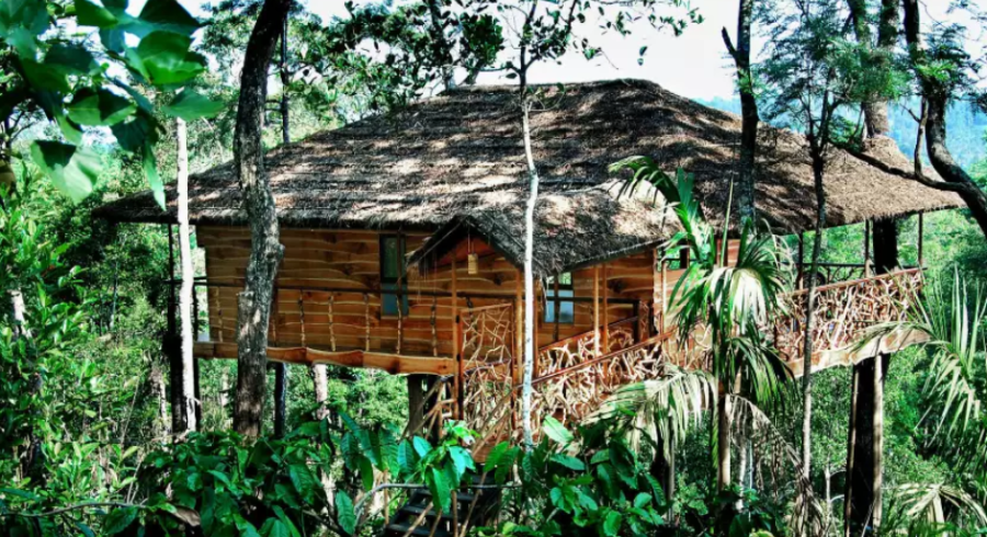 Baumhaushotel in Wayanad, Indien