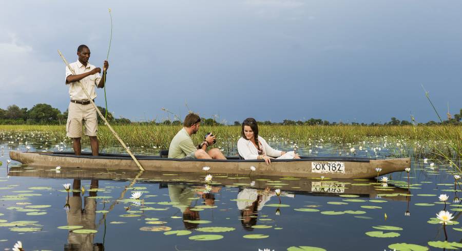 In Love With Botswana: Walk in the Wild on Your Safari Tour