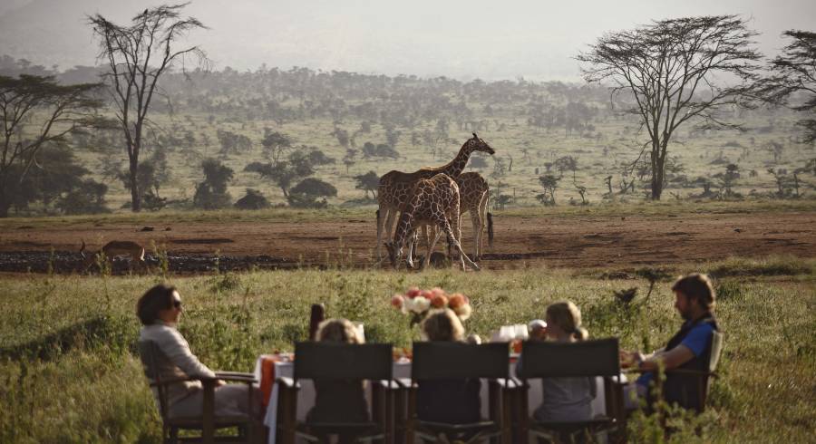 Sundowner in the wild, Kenya