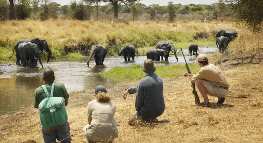 Enchanting-Travels-Tanzania-Tours-Tarangire-Olivers-camp-Walking-