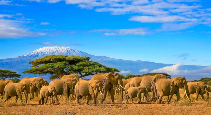 North or South: Which is the best Tanzania Safari?