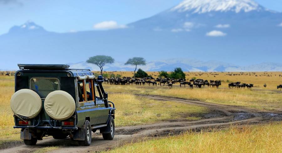 Enchanting Travels Kenya Tours Masai Mara (2)