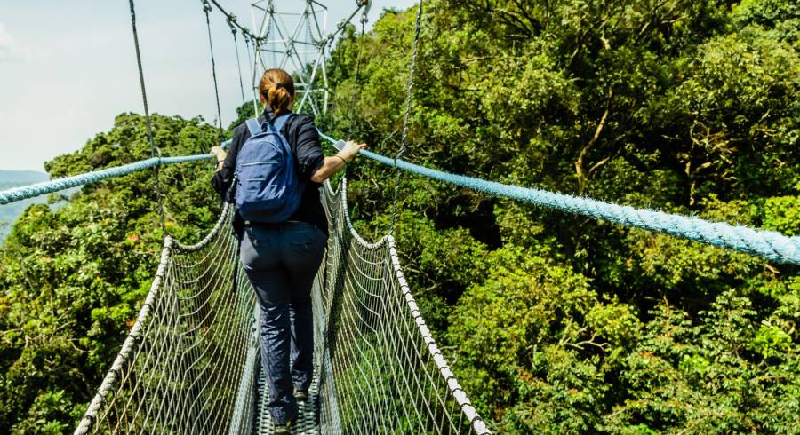 Canopy walk at Nyungwe in Rwanda