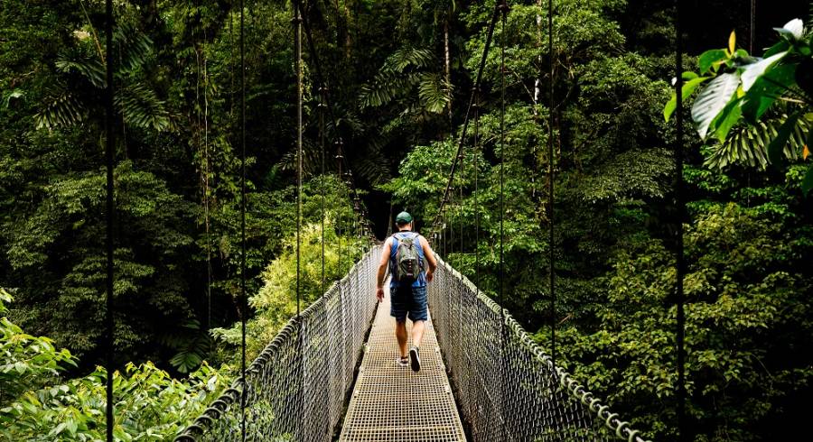 Take a Canopy Walk in Monteverde Cloud Forest on your Costa Rica Vacation