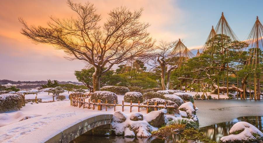 Kenrokuen Garden at dawn is one of our insider tips when traveling to Japan.