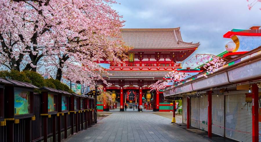 Sensoji Temple in Tokyo