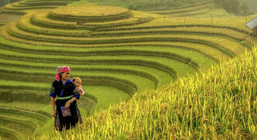 Mother and baby were walking in a symbol of Mu cang chai rice terraces Vietnam