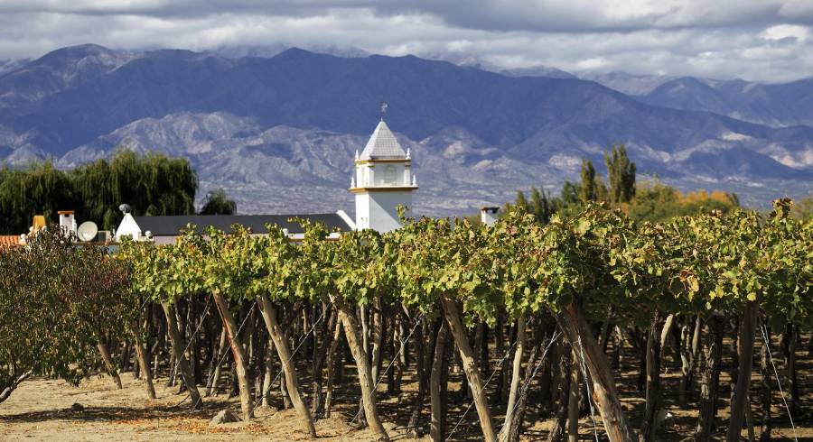 Cafayate in Argentina - plantations and vineyards