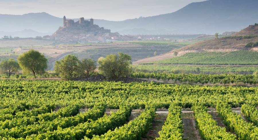 Spain Cuisine: Traditional Food and Popular Dishes