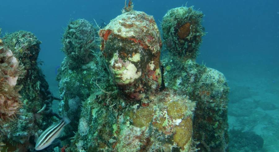 Die 5 verrücktesten Museen der Welt – diese Auswahl wird Sie in Staunen versetzen