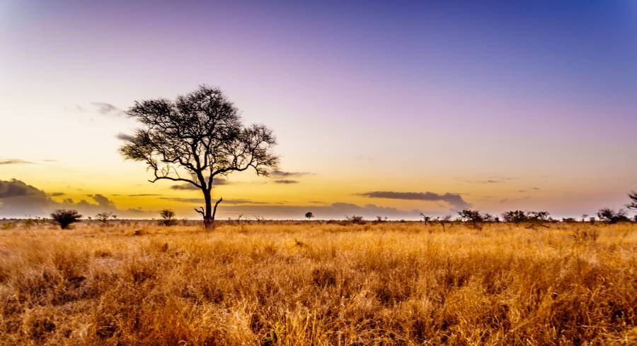 A New Way to Experience the Landscapes of the West – Train Travel