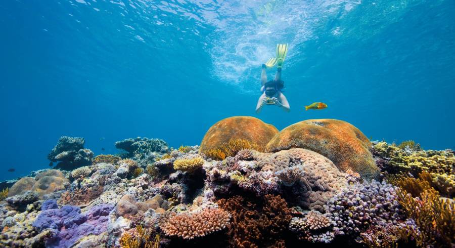 Hochkultur: Diese Welterbestätten sind jede Reise wert