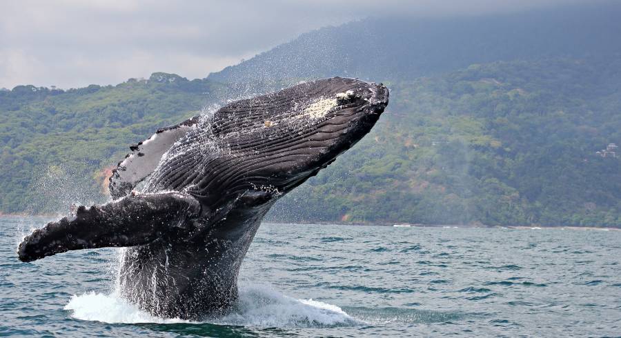 Costa Rica