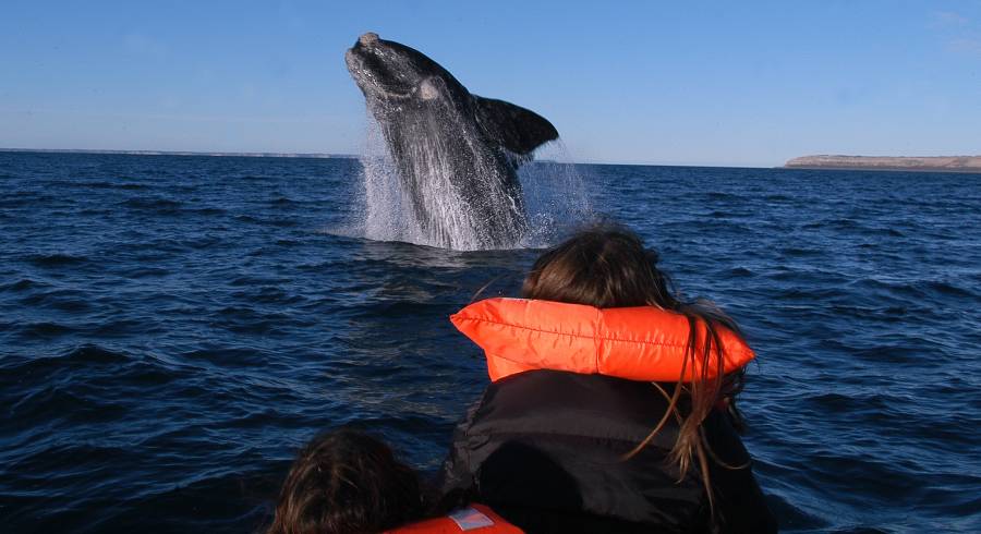 As sete melhores experiências no Chile e na Argentina