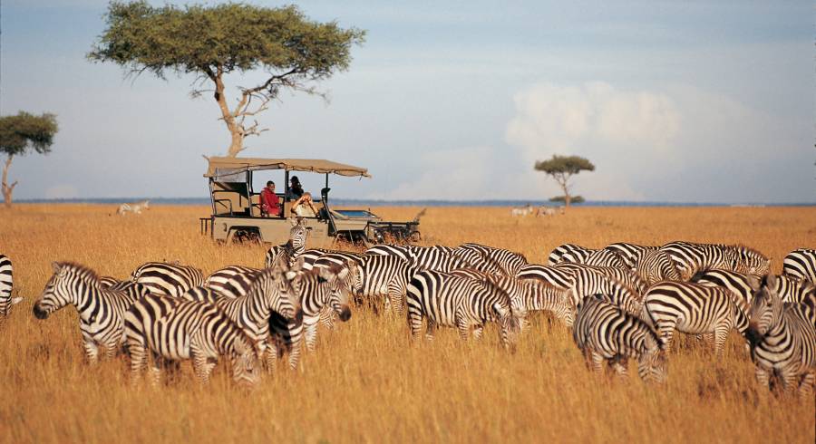 Como escolher o destino certo para o Safari