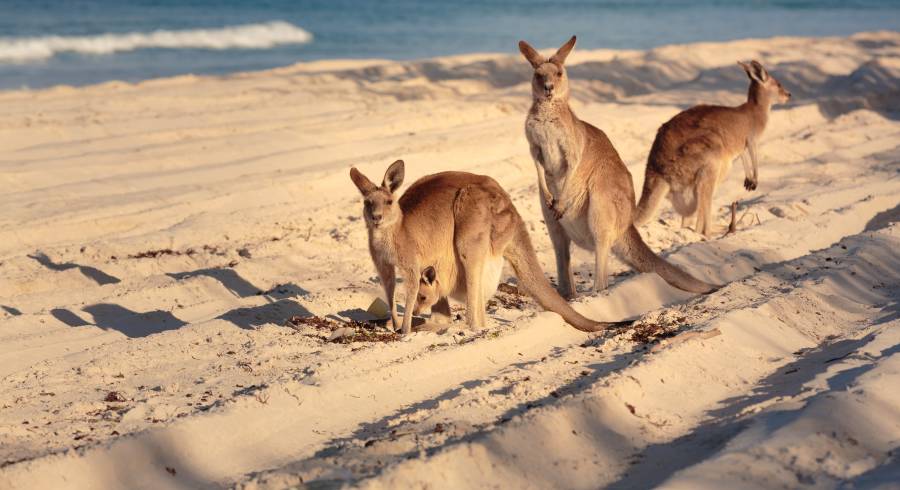 As 5 principais cidades sustentáveis ​​do mundo