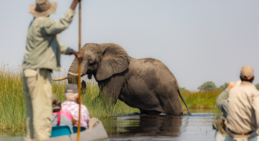 5 Reasons To Visit Botswana During The Green Season