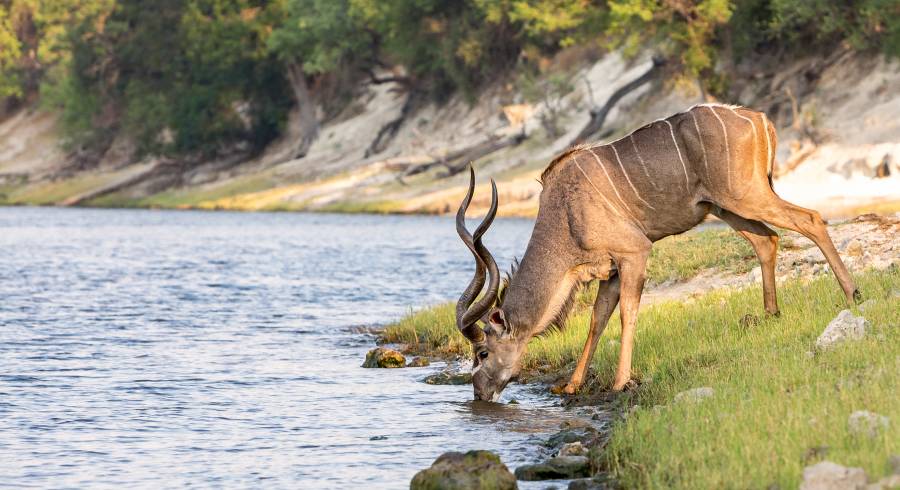 5 Reasons To Visit Botswana During The Green Season