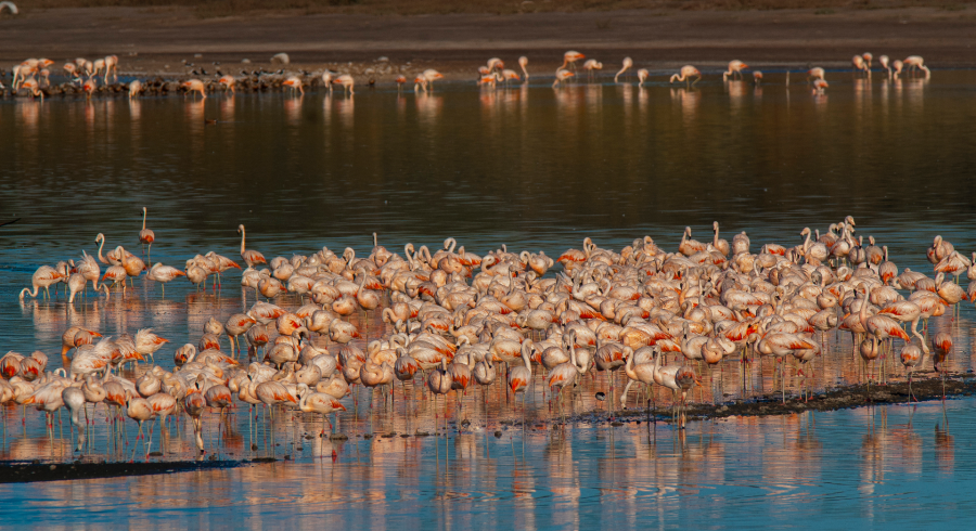 The Wild Poetry Of Patagonia