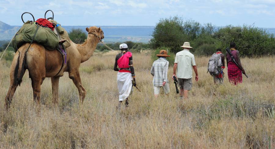 Walk On the Wild Side: recorridos de descubrimiento a pie