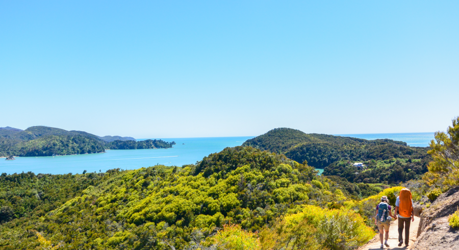 Walk On the Wild Side: recorridos de descubrimiento a pie