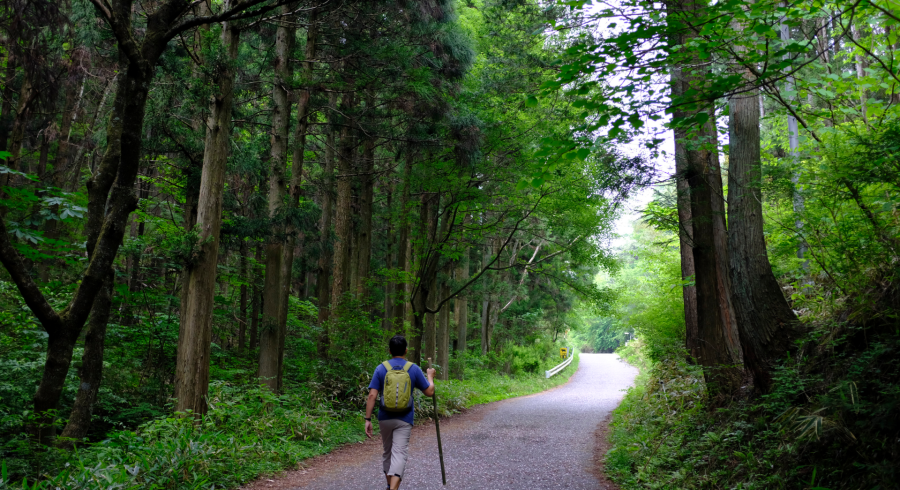 Walk On the Wild Side: Tours Of Discovery On Foot