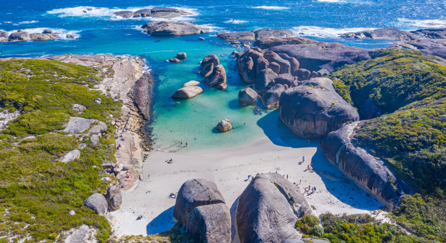 elefante cala playa australia