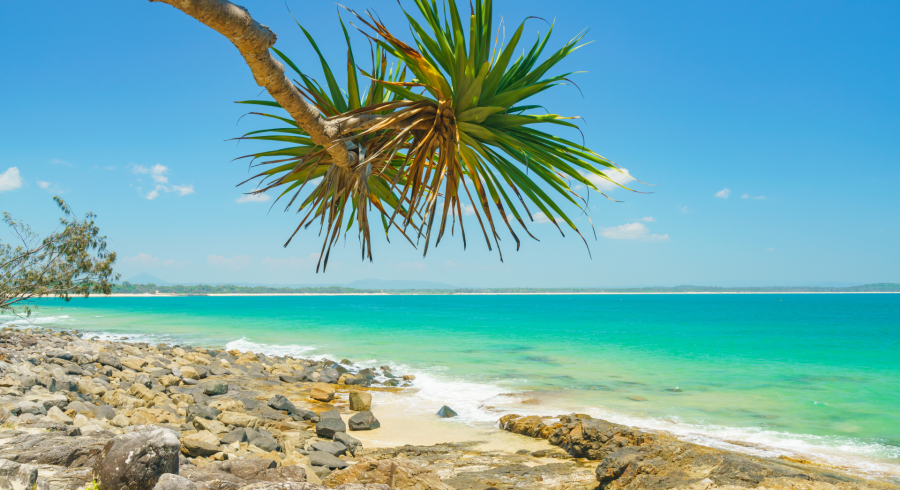 Australia: tour de descubrimiento de la costa de Coral