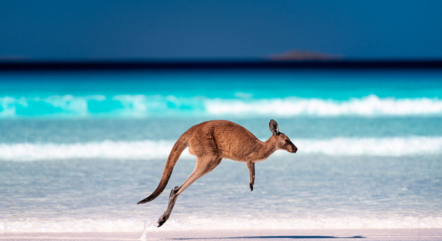 Australia: tour de descubrimiento de la costa de Coral