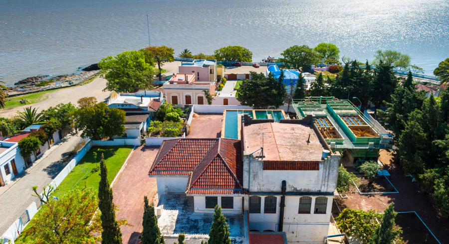 colonia de sacramento uruguay