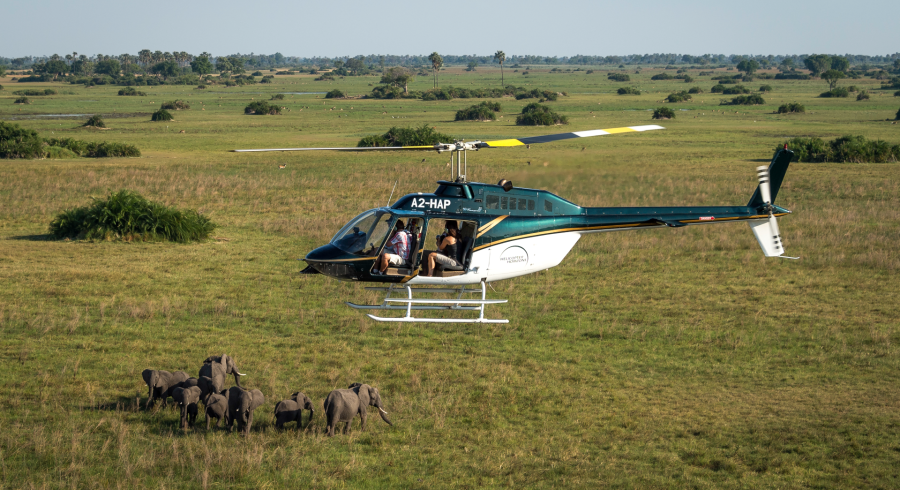 Las mejores experiencias de safari en el delta del Okavango