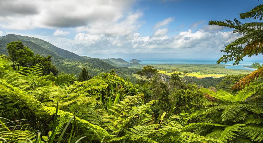 Uma aventura australiana verdadeiramente encantadora